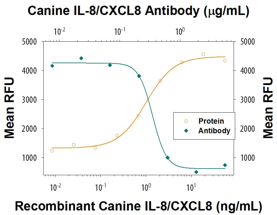 Chemotaxis Induced by IL-8/CXCL8 and Neutralization by Canine IL-8/CXCL8 Antibody.