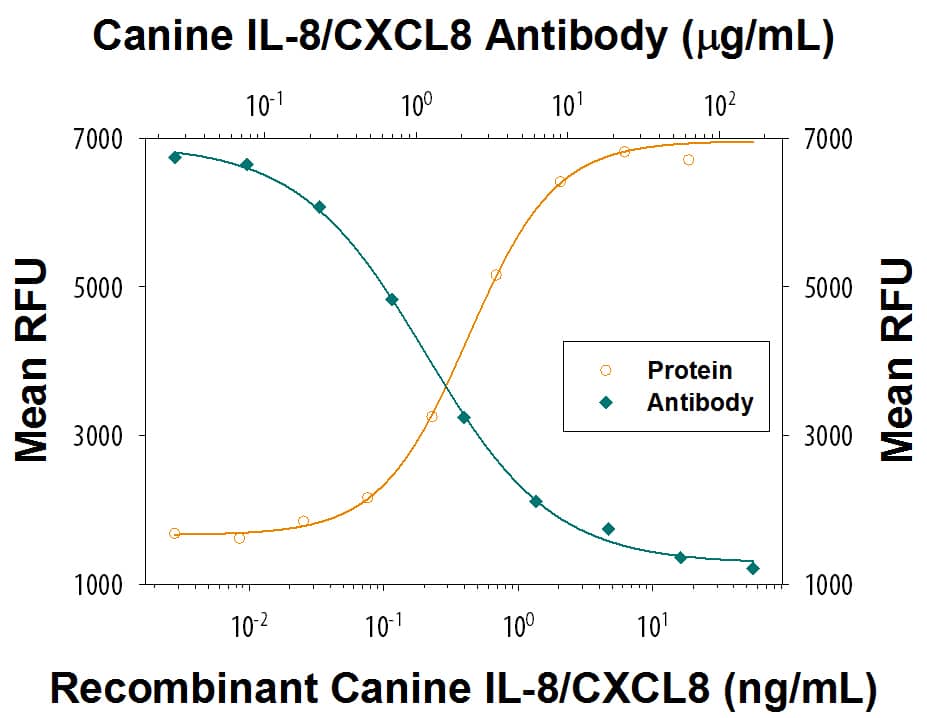 Chemotaxis Induced by IL-8/CXCL8 and Neutralization by Canine IL-8/CXCL8 Antibody.