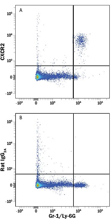 Detection of CXCR2/IL-8 RB antibody in Mouse Splenocytes antibody by Flow Cytometry.