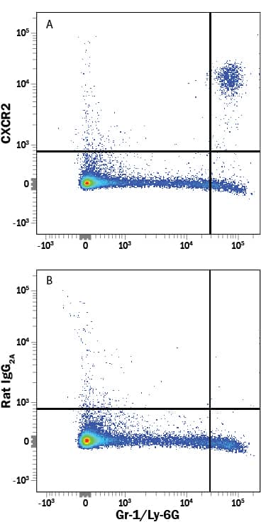 Detection of CXCR2/IL-8 RB antibody in Mouse Splenocytes antibody by Flow Cytometry.