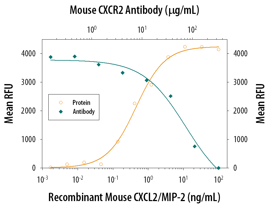 Chemotaxis Induced by CXCL2/MIP-2 and Neutralization by Mouse CXCR2/IL-8 RB Antibody.