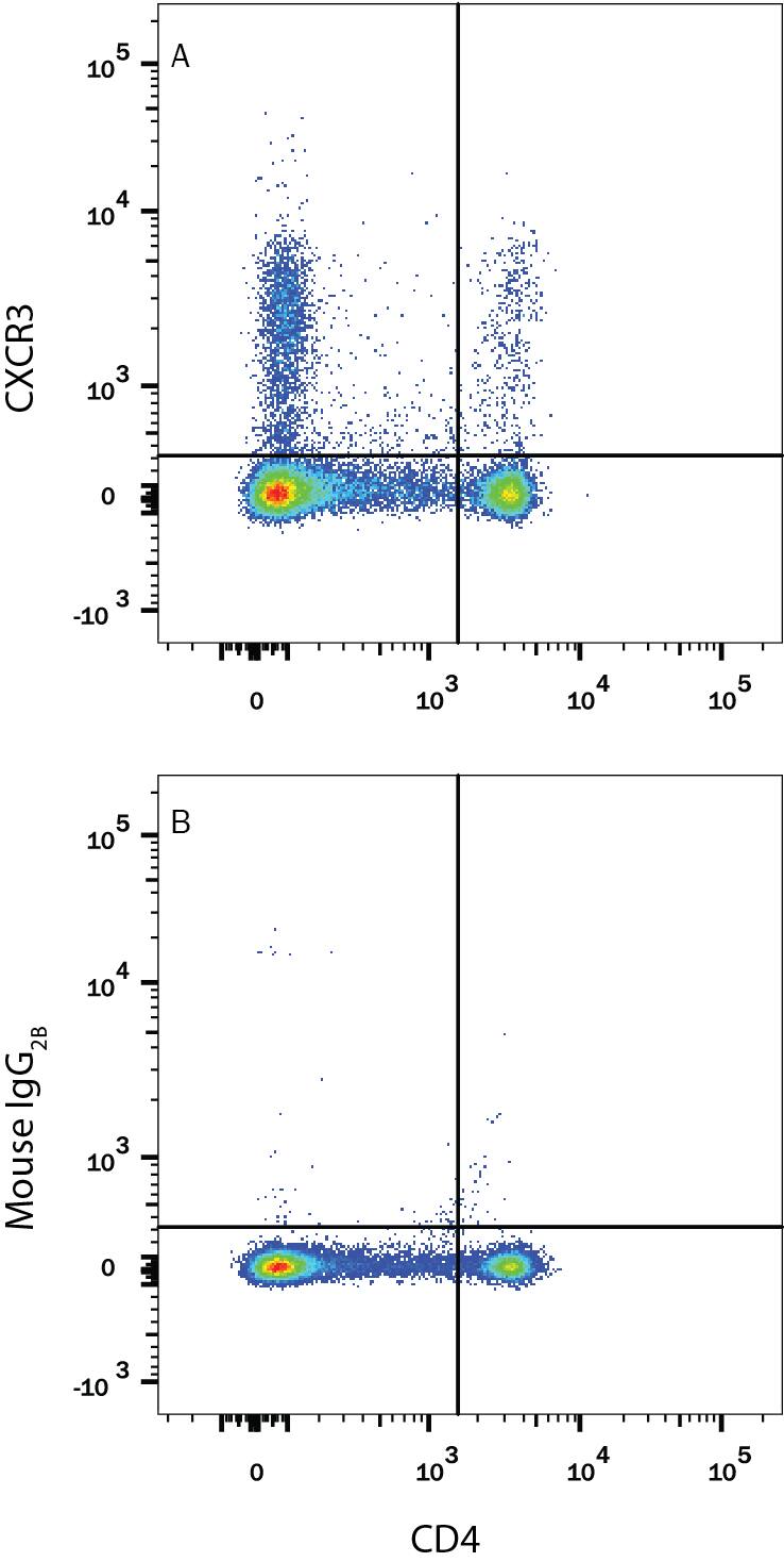 Detection of CXCR3 antibody in Rat Splenocytes antibody by Flow Cytometry.