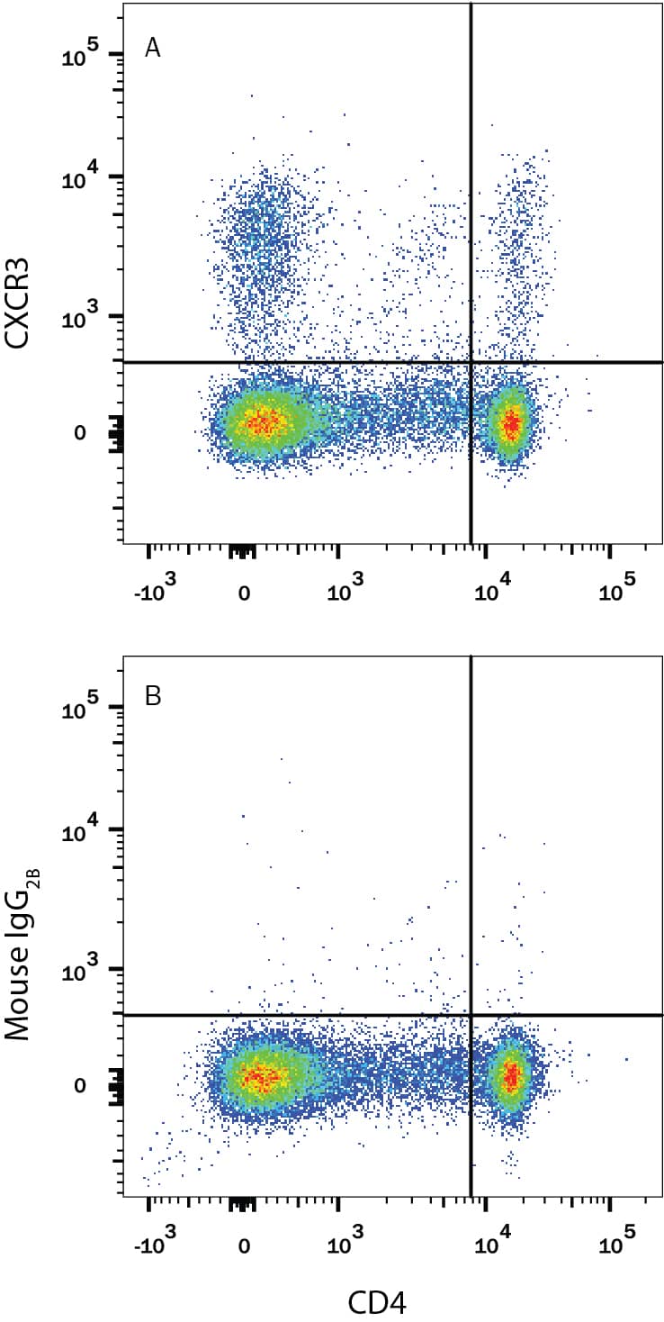 Detection of CXCR3 antibody in Rat Splenocytes antibody by Flow Cytometry.