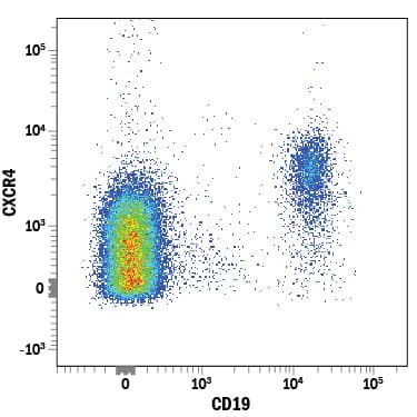 Detection of CXCR4 antibody in Human Blood Lymphocytes antibody by Flow Cytometry.