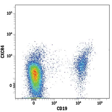 Detection of CXCR4 antibody in Human Blood Lymphocytes antibody by Flow Cytometry.