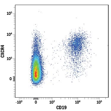 Detection of CXCR4 antibody in Human Blood Lymphocytes antibody by Flow Cytometry.