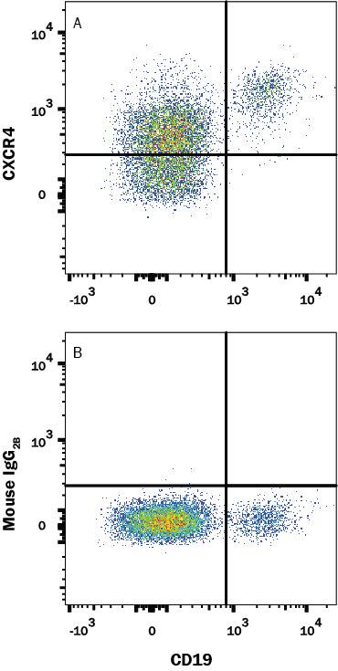 Detection of CXCR4 antibody in Human Blood Lymphocytes antibody by Flow Cytometry.