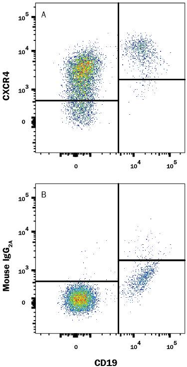 Detection of CXCR4 antibody in Human Blood Lymphocytes antibody by Flow Cytometry.