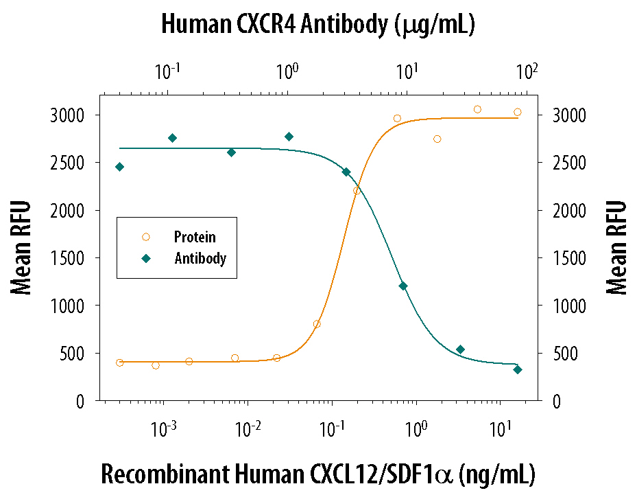 Chemotaxis Induced by CXCL12/SDF-1 alpha and Neutralization by Human CXCR4 Antibody.