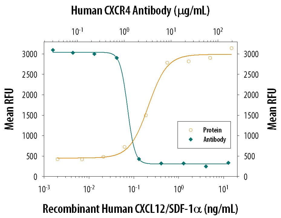 Chemotaxis Induced by CXCL12/SDF‑1 alpha and Neutralization by Human CXCR4 Antibody.