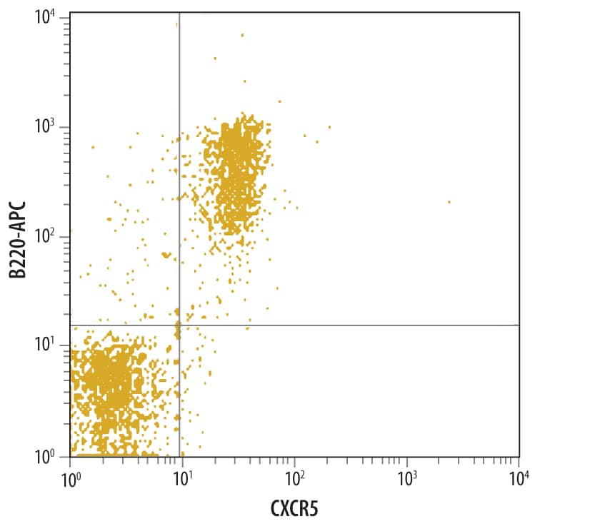 Detection of CXCR5 antibody in Mouse Splenocytes antibody by Flow Cytometry.