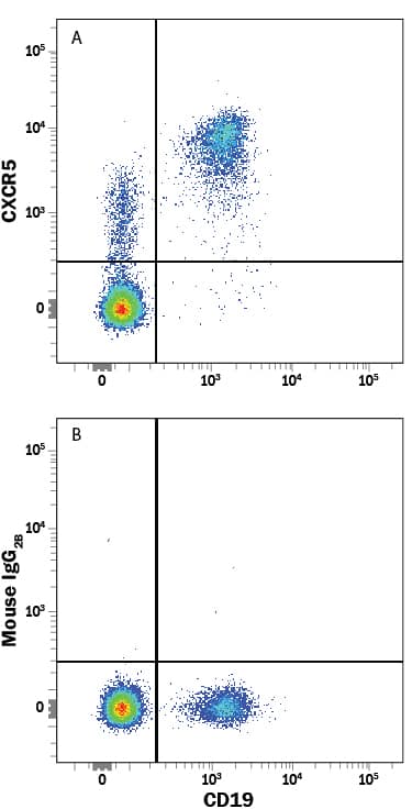 Detection of CXCR5 antibody in CD19+Human PBMCs antibody by Flow Cytometry.