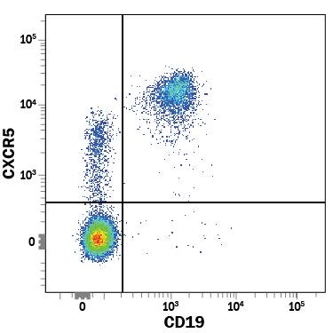 Detection of CXCR5 antibody in Human Peripheral Blood Lymphocytes antibody by Flow Cytometry.