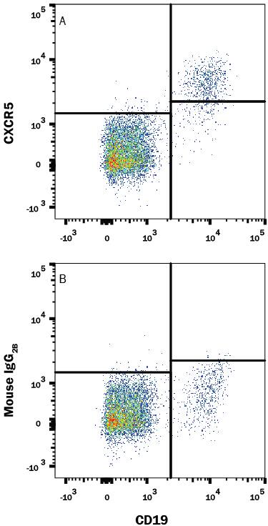 Detection of CXCR5 antibody in Human Blood Lymphocytes antibody by Flow Cytometry.