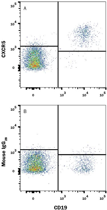 Detection of CXCR5 antibody in Human Peripheral Blood Lymphocytes antibody by Flow Cytometry.