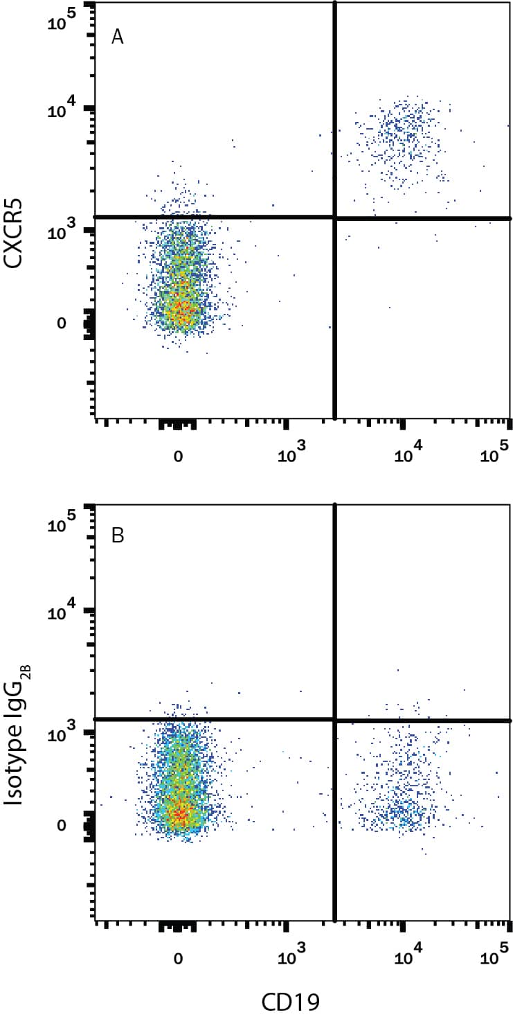 Detection of CXCR5 antibody in Human Peripheral Blood Cells antibody by Flow Cytometry.