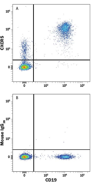 Detection of CXCR5 antibody in CD19+ Human PBMCs antibody by Flow Cytometry.