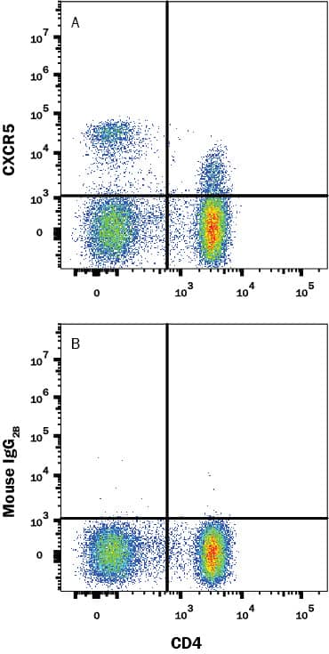 Detection of CXCR5 antibody in CD4+ Human PBMCs antibody by Flow Cytometry.