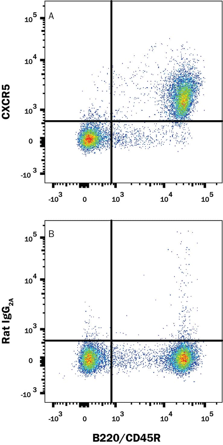 Detection of CXCR5 antibody in Mouse Splenocytes antibody by Flow Cytometry.