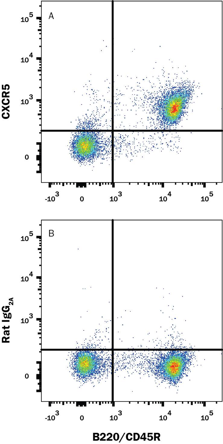 Detection of CXCR5 antibody in Mouse Splenocytes antibody by Flow Cytometry.