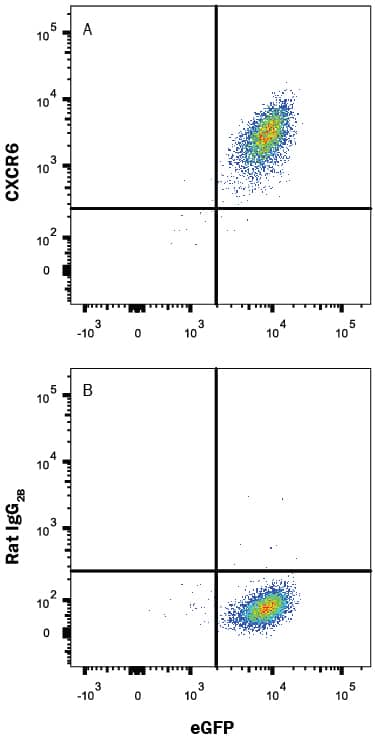 Detection of CXCR6 antibody in BaF3 mouse cell line transfected with mouse CXCR6 and eGFP antibody by Flow Cytometry.