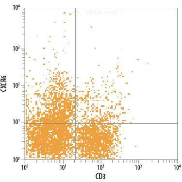 Detection of CXCR6 antibody in Mouse Splenocytes antibody by Flow Cytometry.