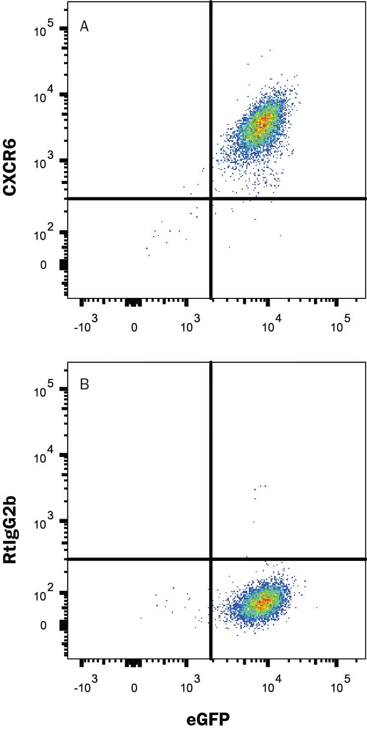 Detection of CXCR6 antibody in BaF3 mouse cell line transfected with mouse CXCR6 and eGFP antibody by Flow Cytometry.