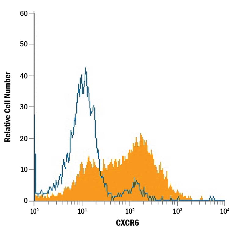 Detection of CXCR6 antibody in HEK293 Human Cell Line Transfected with Human CXCR6 antibody by Flow Cytometry.