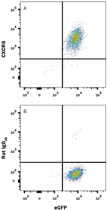 Detection of CXCR6 antibody in BaF3 Mouse Cell Line Transfected with Mouse CXCR6 and eGFP antibody by Flow Cytometry.