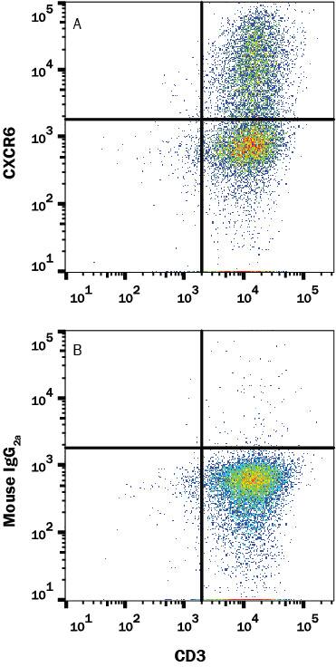 Detection of CXCR6 antibody in Human PBMCs Stimulated to Induce Th1 Cells antibody by Flow Cytometry.