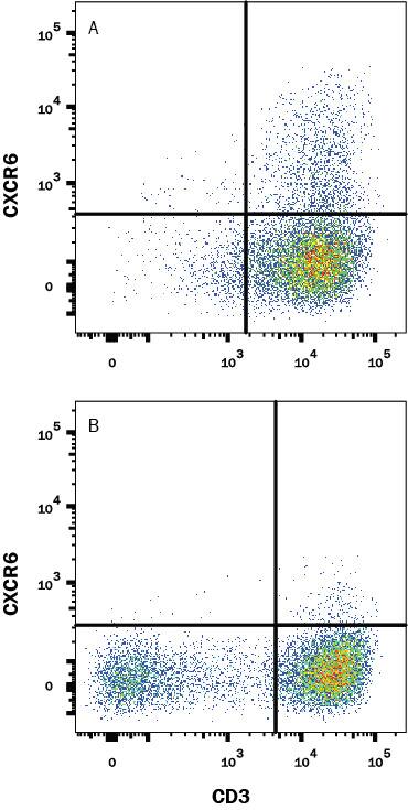 Detection of CXCR6 antibody in Human PBMCs antibody by Flow Cytometry.