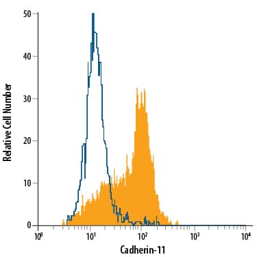 Detection of Cadherin-11 antibody in PC-3 Human Cell Line antibody by Flow Cytometry.