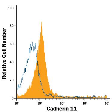 Detection of Cadherin-11 antibody in PC-3 Human Cell Line antibody by Flow Cytometry.