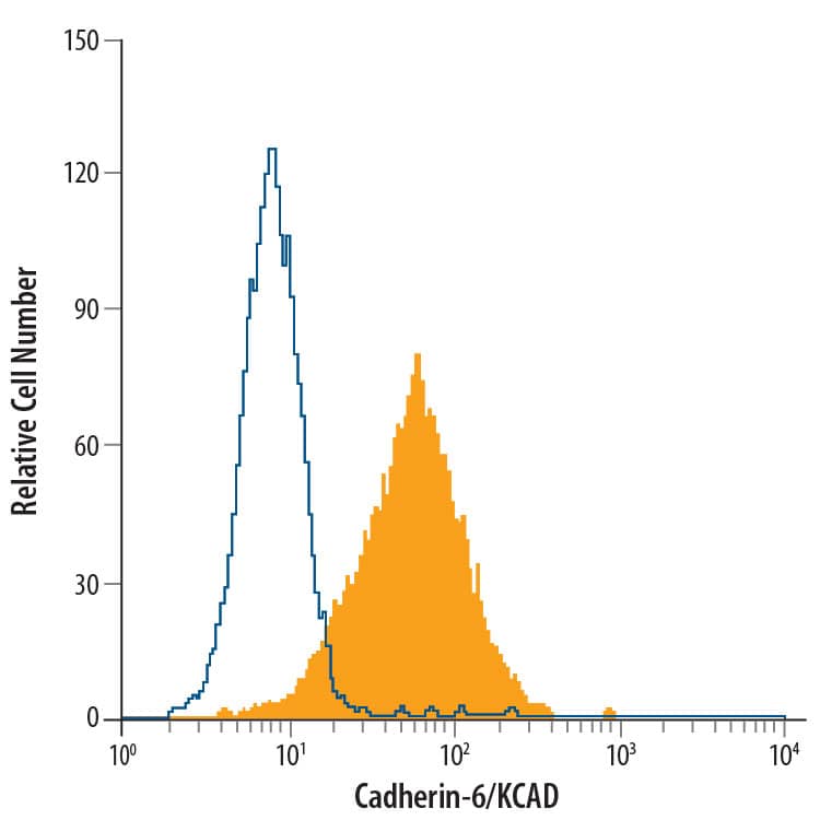 Detection of Cadherin-6/KCAD antibody in MG-63 Human Cell Line antibody by Flow Cytometry.