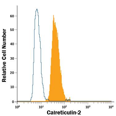 Detection of Calreticulin-2 antibody in MCF-7 Human Cell Line antibody by Flow Cytometry.