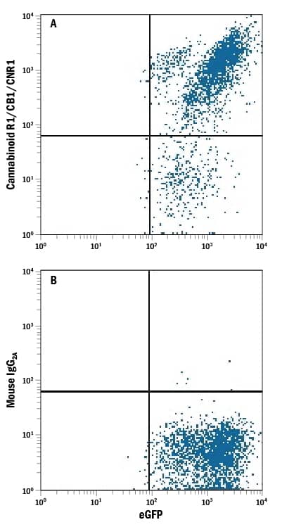 Detection of Cannabinoid R1/CB1/CNR1 antibody in NS0 Mouse Cell Line Transfected with Human Cannabinoid R1/CB1/CNR1 and eGFP antibody by Flow Cytometry.