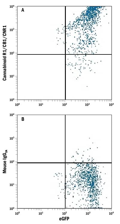 Detection of Cannabinoid R1/CB1/CNR1 antibody in NS0 Mouse Cell Line Transfected with Human Cannabinoid R1/CB1/CNR1 and eGFP antibody by Flow Cytometry.