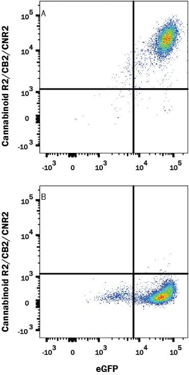 Detection of Cannabinoid R2/CB2/CNR2 antibody in HEK293 Human Cell Line Transfected with Human Cannabinoid R2/CB2/CNR2 and eGFP antibody by Flow Cytometry.