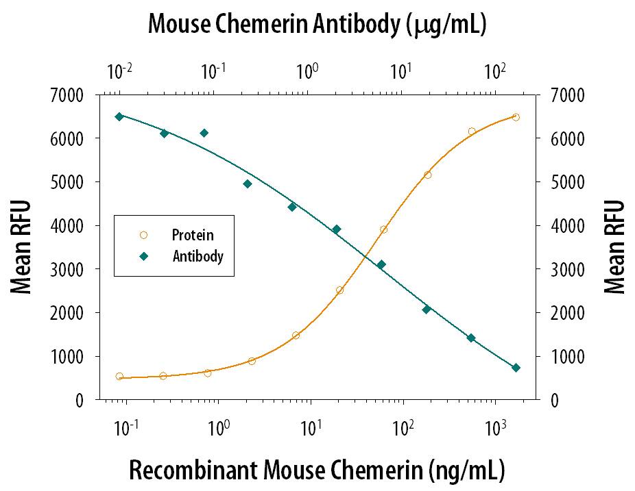 Chemotaxis Induced by Chemerin and Neutralization by Mouse Chemerin Antibody.