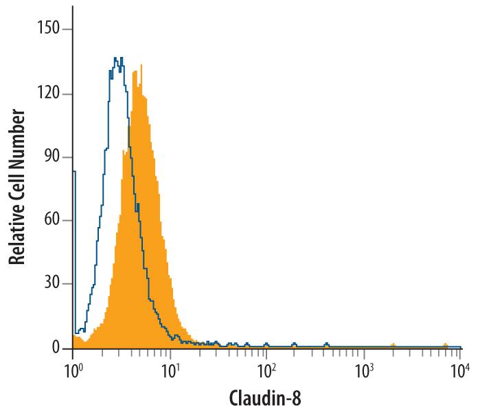 Detection of Claudin-8 antibody in Caki-2 Human Cell Line antibody by Flow Cytometry.
