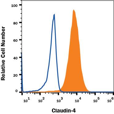 Detection of Claudin-4 antibody in PC-3 Human Cell Line antibody by Flow Cytometry.