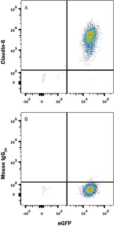 Detection of Claudin-6 antibody in HEK293 Human Cell Line Transfected with Human Claudin-6 and eGFP antibody by Flow Cytometry.