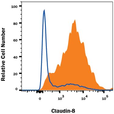 Detection of Claudin-8 antibody in HEK293 Human Cell Line Transfected with Human Claudin-8 antibody by Flow Cytometry.