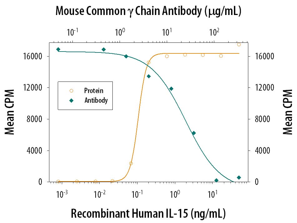 Cell Proliferation Induced by IL‑15 and Neutralization by Mouse Common  gamma Chain/ IL‑2 R gamma Antibody.