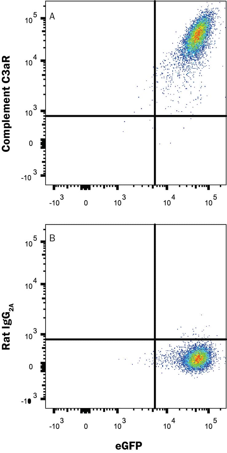 Detection of Complement Component C3aR antibody in HEK293 Human Cell Line Transfected with Mouse Complement Component C3aRand eGFP antibody by Flow Cytometry.