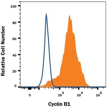 Detection of Cyclin B1 antibody in K562 Human Cell Line antibody by Flow Cytometry.