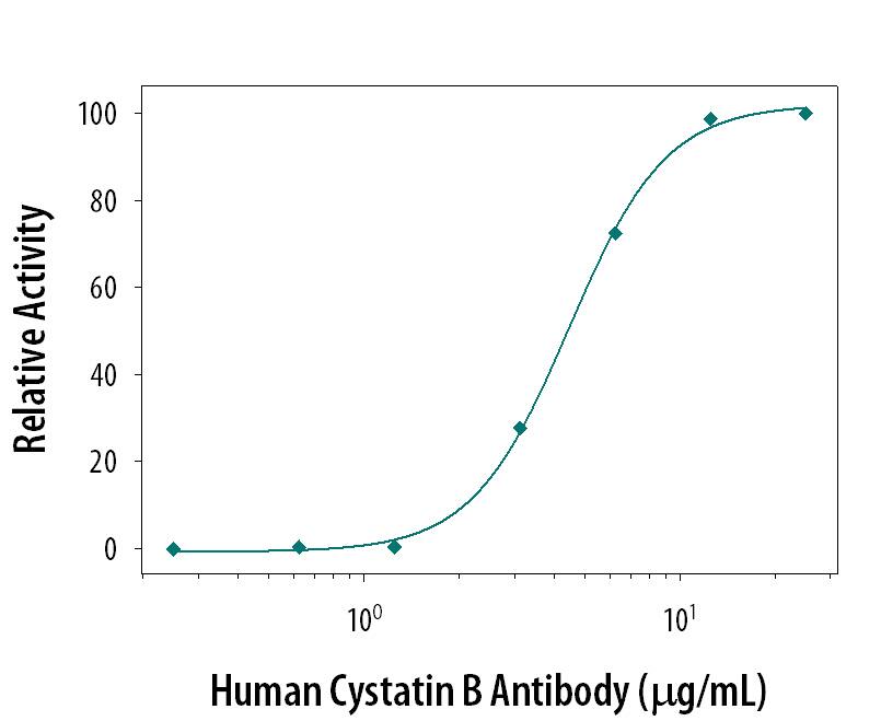 Neutralization of Cystatin B Activity by Human Cystatin B Antibody.
