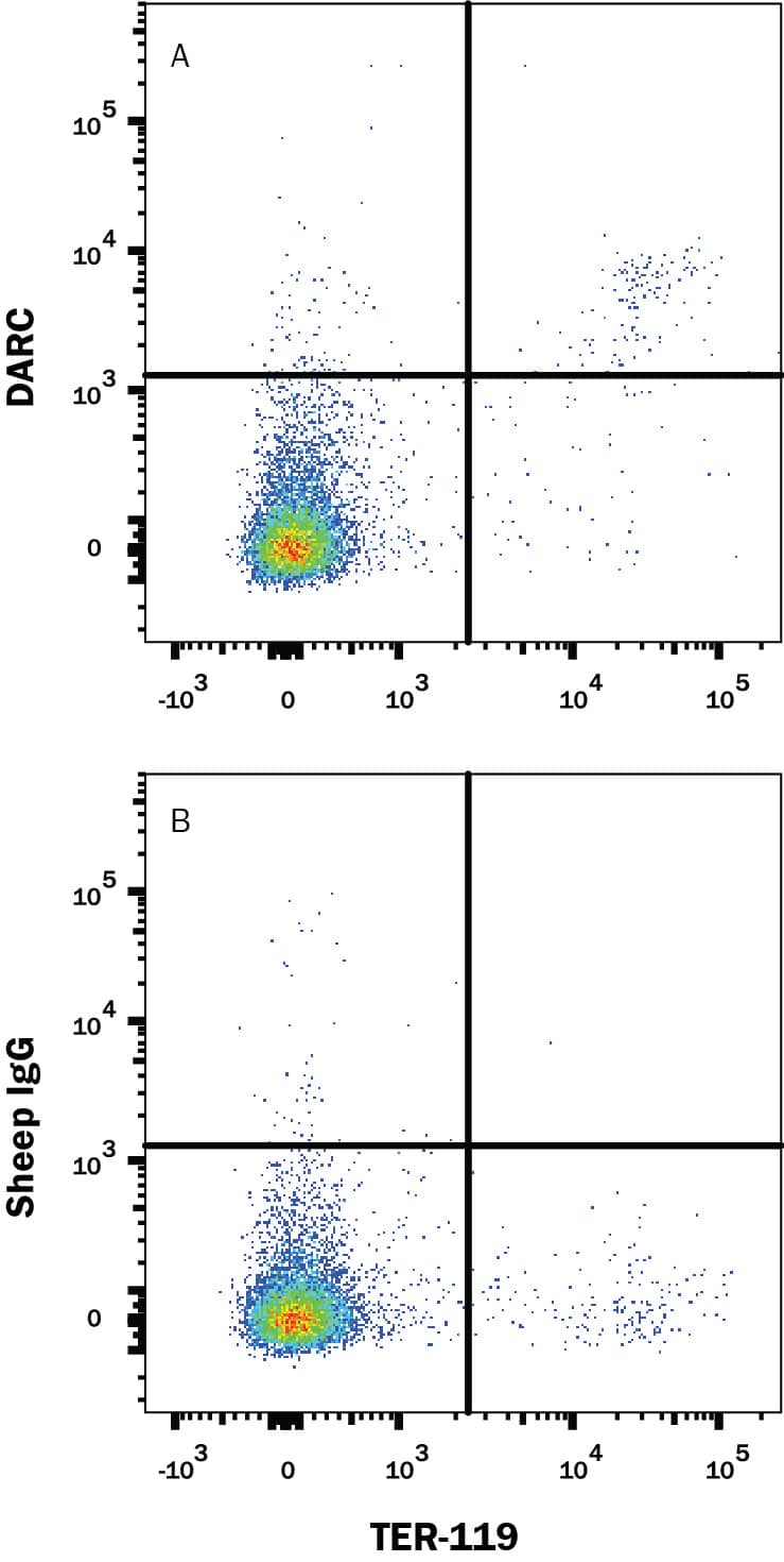 Detection of DARC antibody in Mouse Splenocytes antibody by Flow Cytometry.