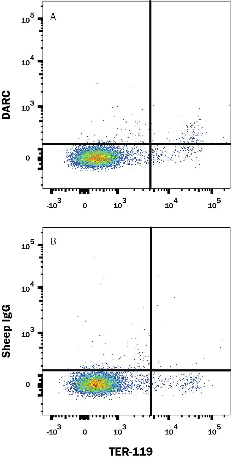 Detection of DARC antibody in Mouse Splenocytes antibody by Flow Cytometry.