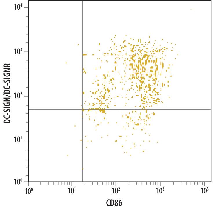 Detection of DC-SIGN+DC-SIGNR antibody in Human Monocyte Derived Dendritic Cells antibody by Flow Cytometry.